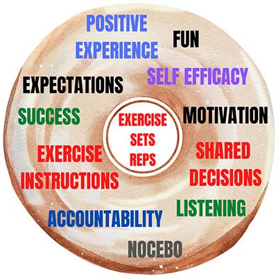 Are patients picking up what we are putting down? Considering nocebo effects in exercise for musculoskeletal pain